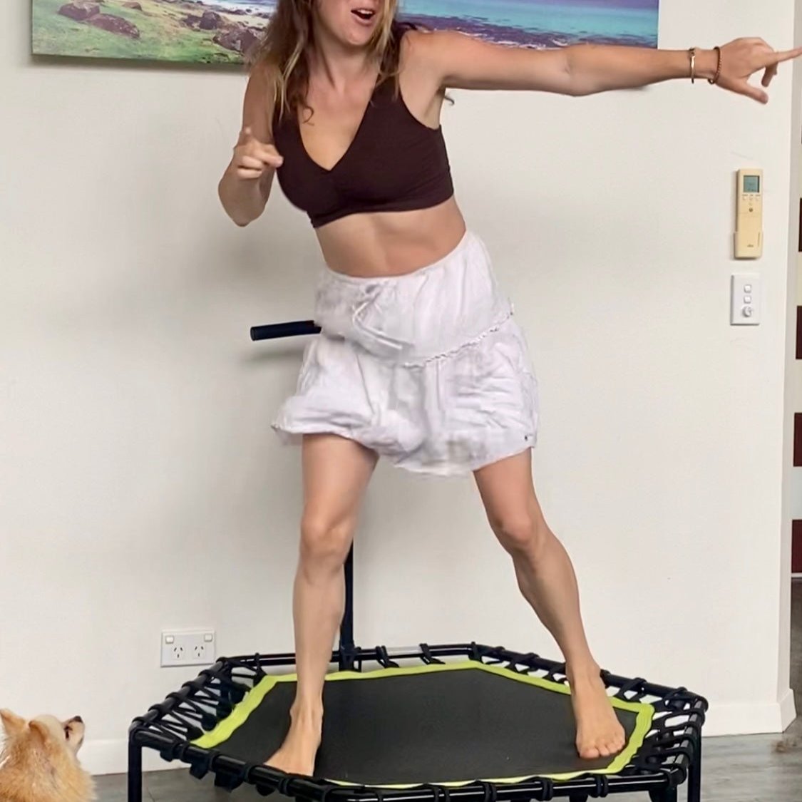 Rebounder Exercise Trampoline
