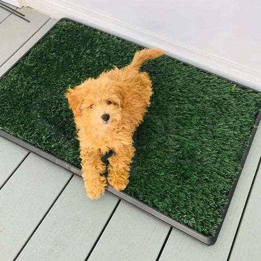 Indoor Puppy Grass Pee Pad
