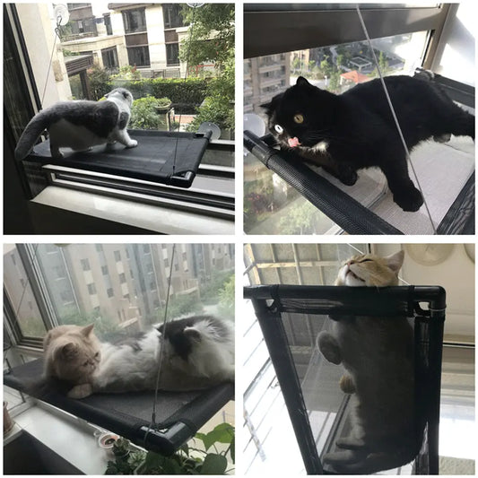Cat Window Bed