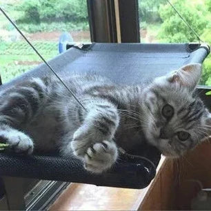 Cat Window Bed