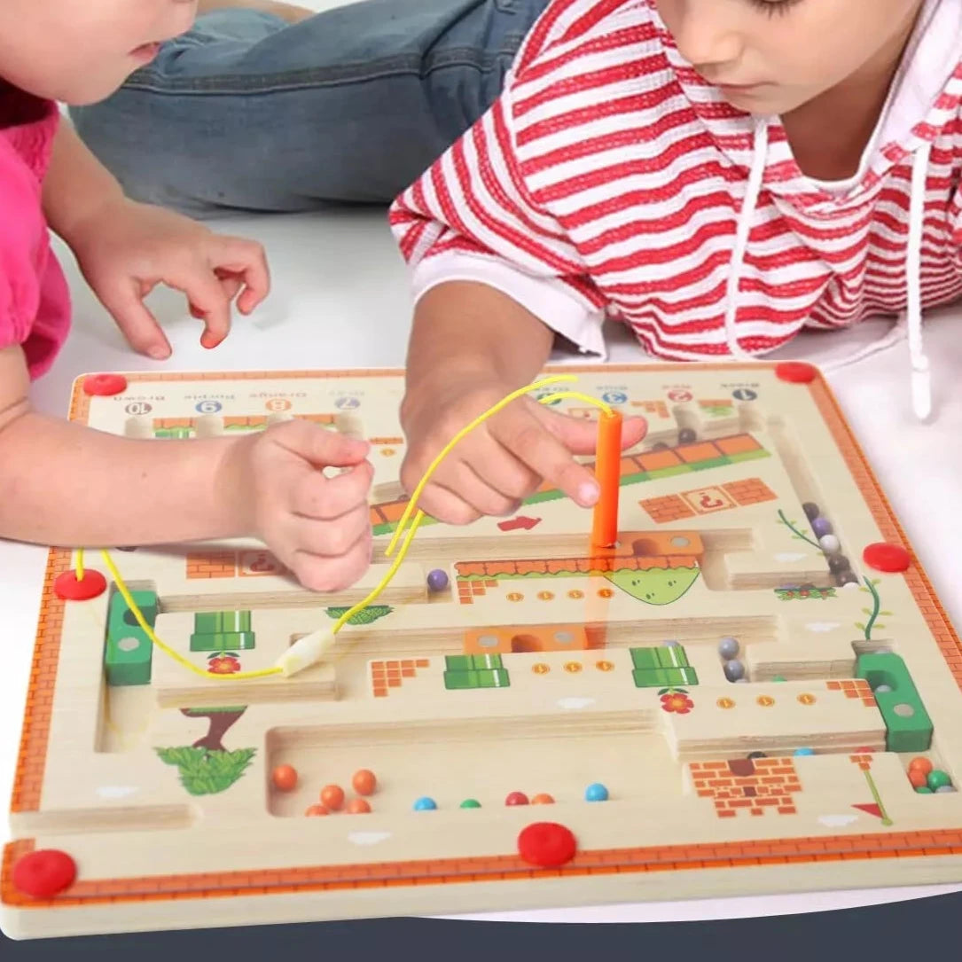 Montessori Magnetic Learning Toy