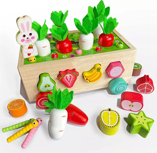 Montessori Wooden Learning Toy