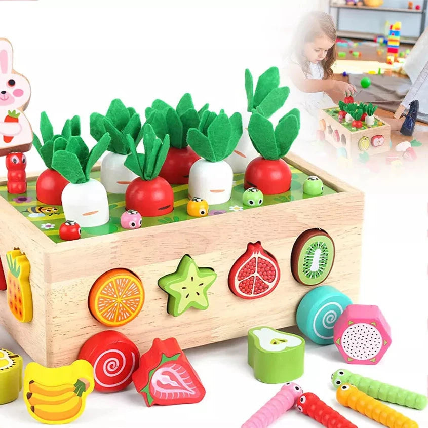 Montessori Wooden Learning Toy